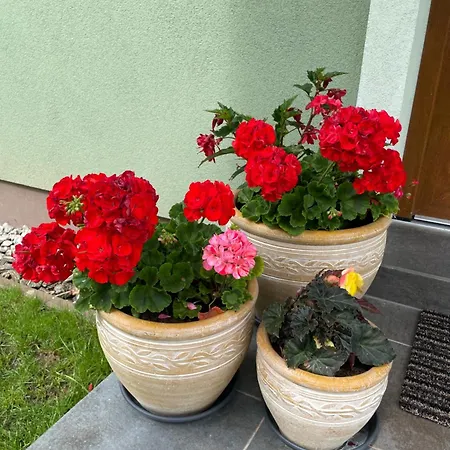 Aurum Stiavnicke Bane