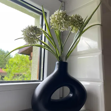 Сasa de vacaciones Aurum *