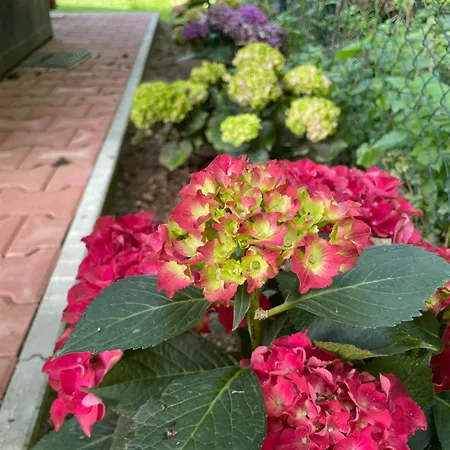 Aurum Сasa de vacaciones